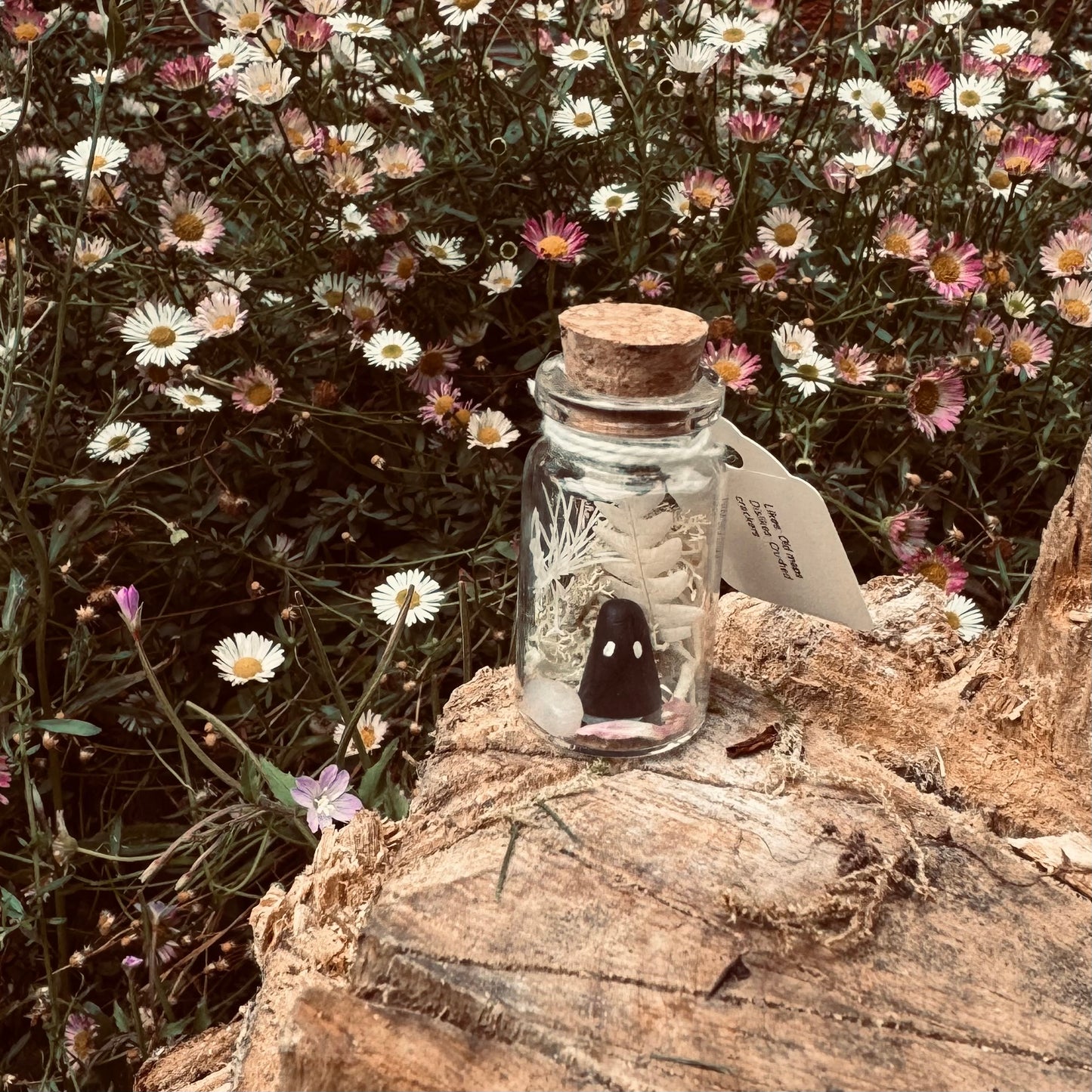 Lost Soul