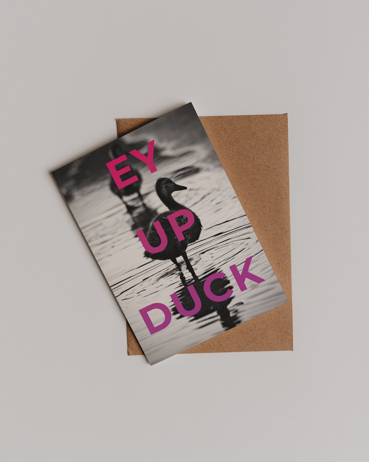 The Ey Up Duck Greetings Card features a black-and-white photo of a duck in water with bold pink Ey Up Duck text, playfully referencing regional dialect. It comes on a brown envelope and is photographed against a white background.