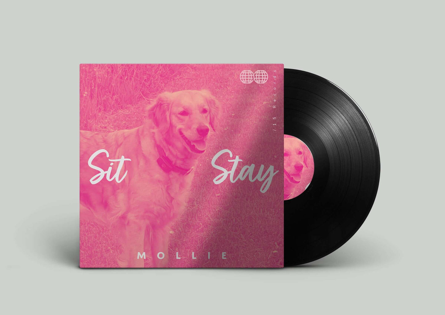 Custom Pet Photography Album Cover – Bespoke one of a kind design (Digital, 7", 10", 12")