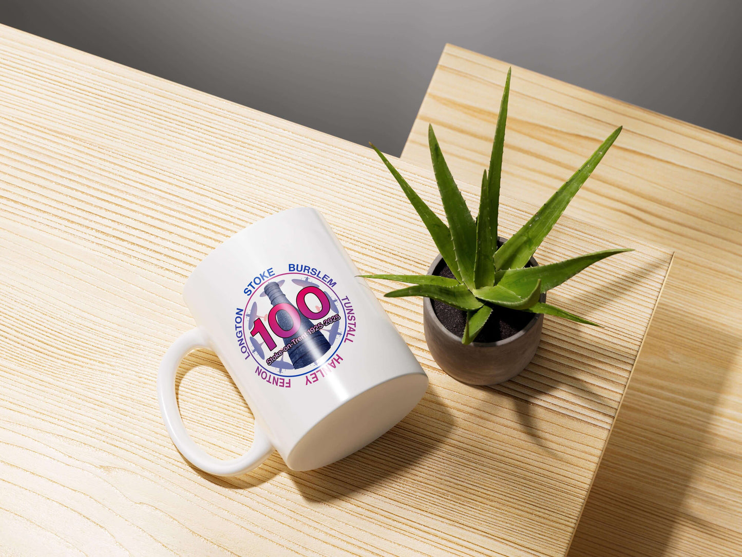The Stoke-On-Trent Centenary Celebration Mug 100 Years features a colorful 100 logo and city place names on white ceramic, shown beside a potted aloe vera on a light wood surface—an ideal collector’s commemorative piece.