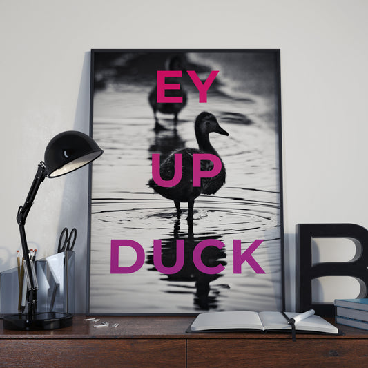 Ey Up Duck