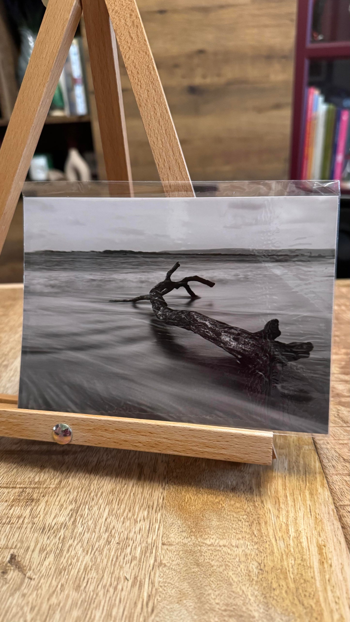 Driftwood Photo